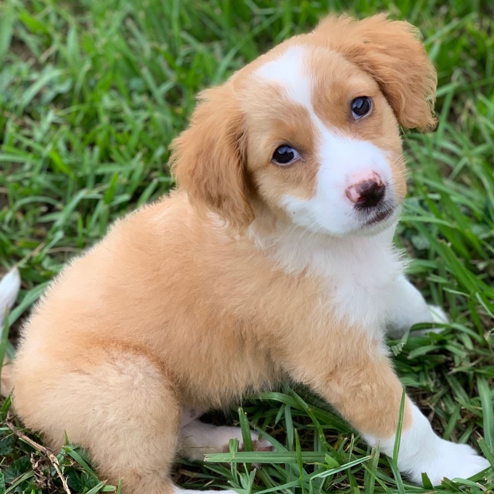 Meet your Posher, Andrew